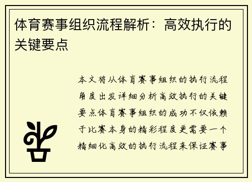 体育赛事组织流程解析：高效执行的关键要点